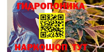ECSTASY Будённовск