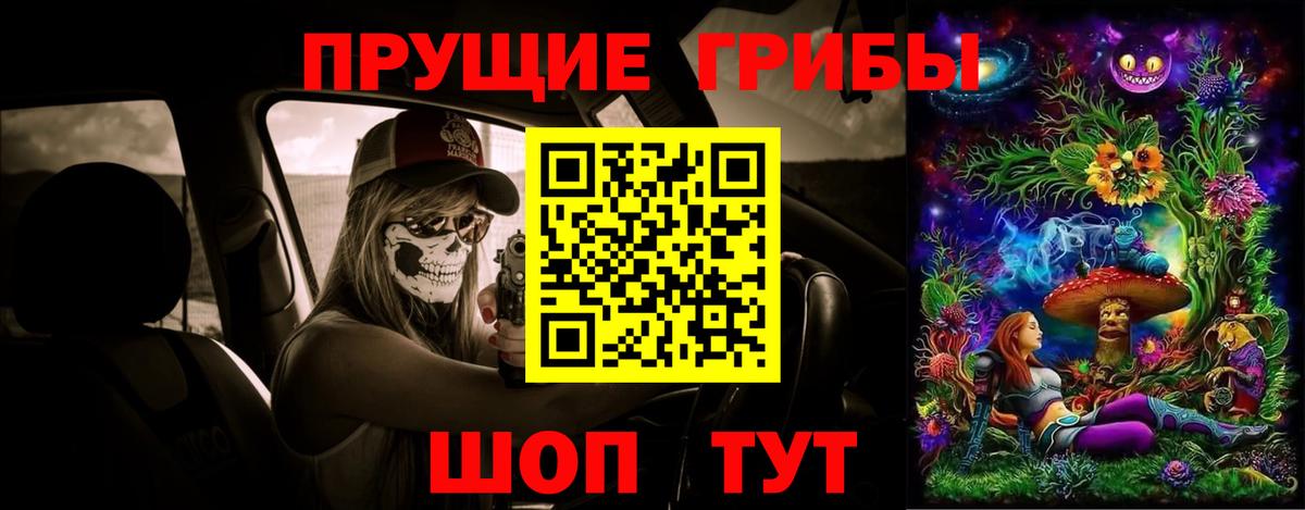 Галлюциногенные грибы Psilocybine cubensis Краснотурьинск