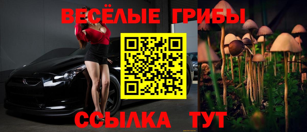 Краснотурьинск  Псилоцибиновые грибы MAGIC MUSHROOMS  Вход с VPN 
