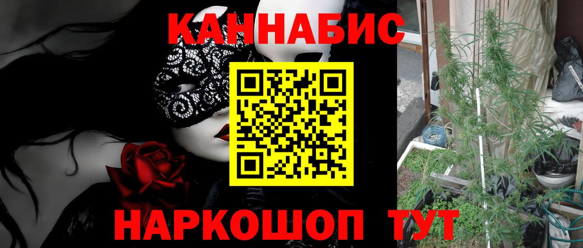 Канабис сатива Краснотурьинск